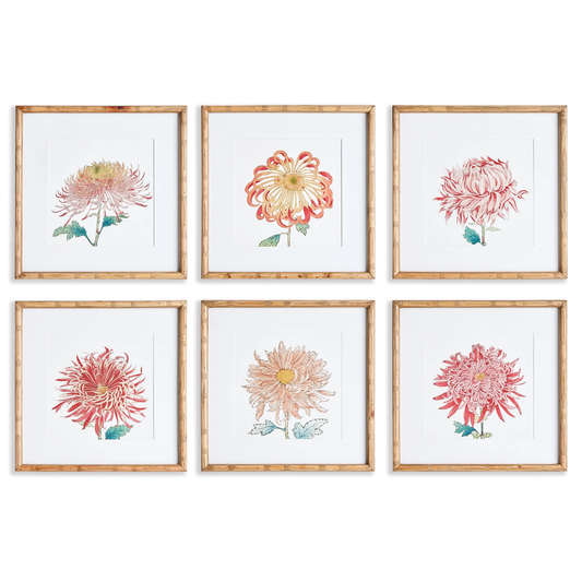 Colorful Chrysanthemum Print Assorted