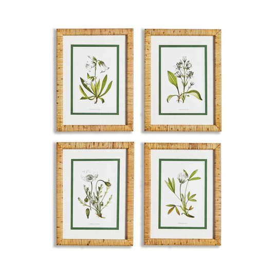 White Floral Study Assorted Art