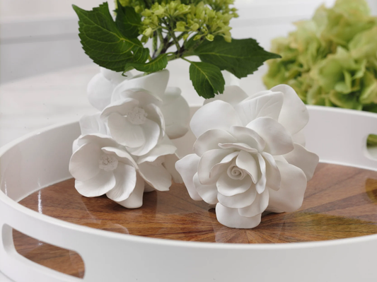 Cameo Porcelain Vases Assorted