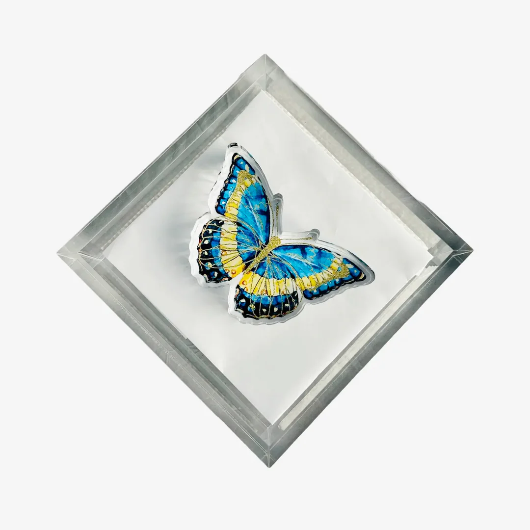 Acrylic Napkin Weight